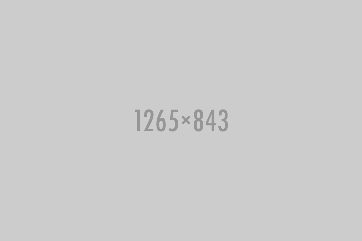 economist-1265-843