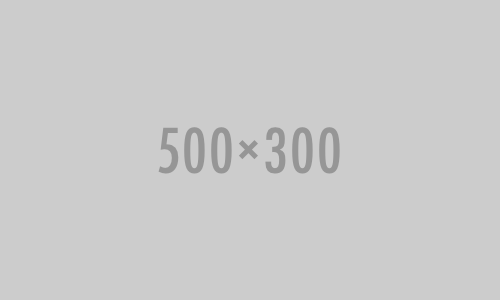 economist-500-300